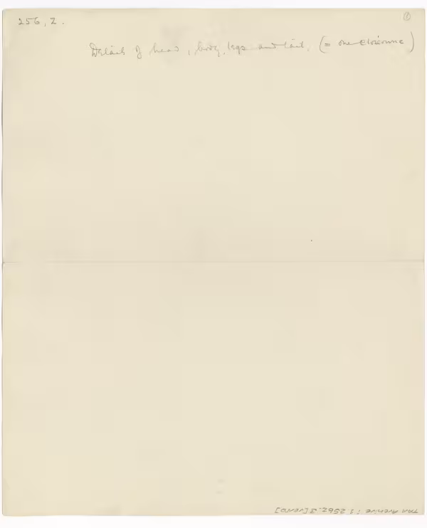 image of verso of drawing in object card
