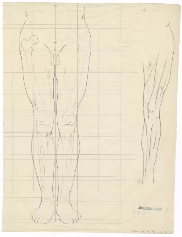 scientific notes autopsy page 7