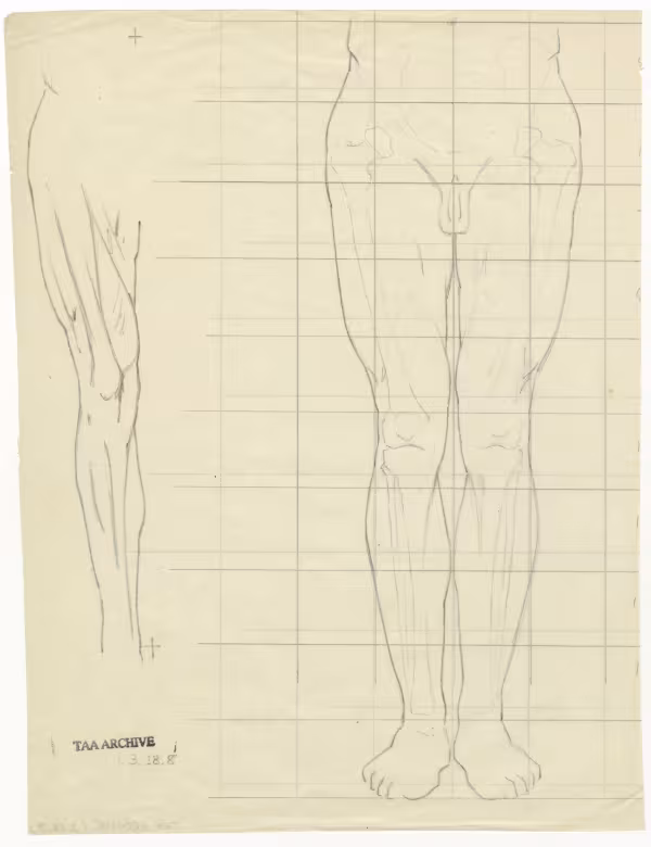 scientific notes autopsy page 8
