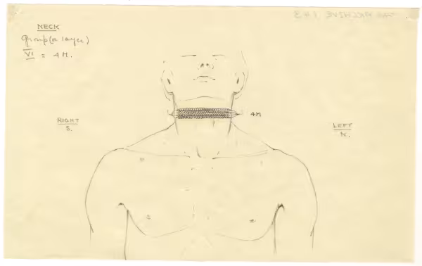 objects found on Tutankhamun's body: neck