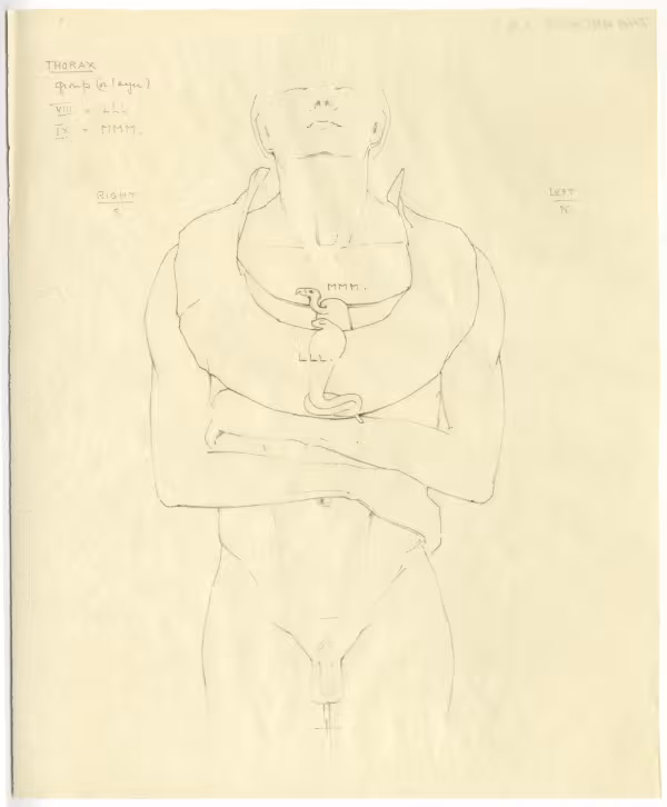 objects found on Tutankhamun's body: thorax