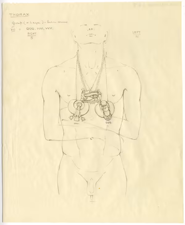 objects found on Tutankhamun's body: thorax