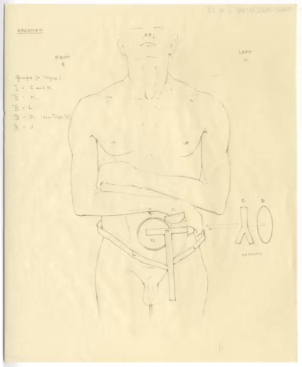 objects found on Tutankhamun's body: abdomen