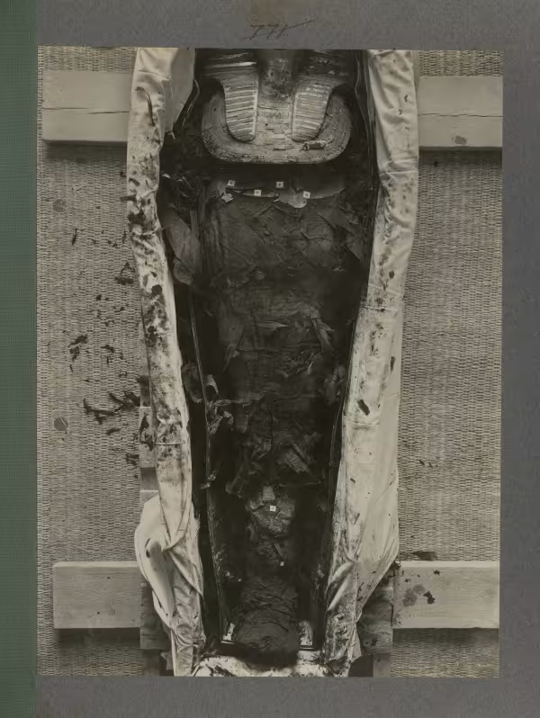 image of king's mummy within coffin from Burton's album