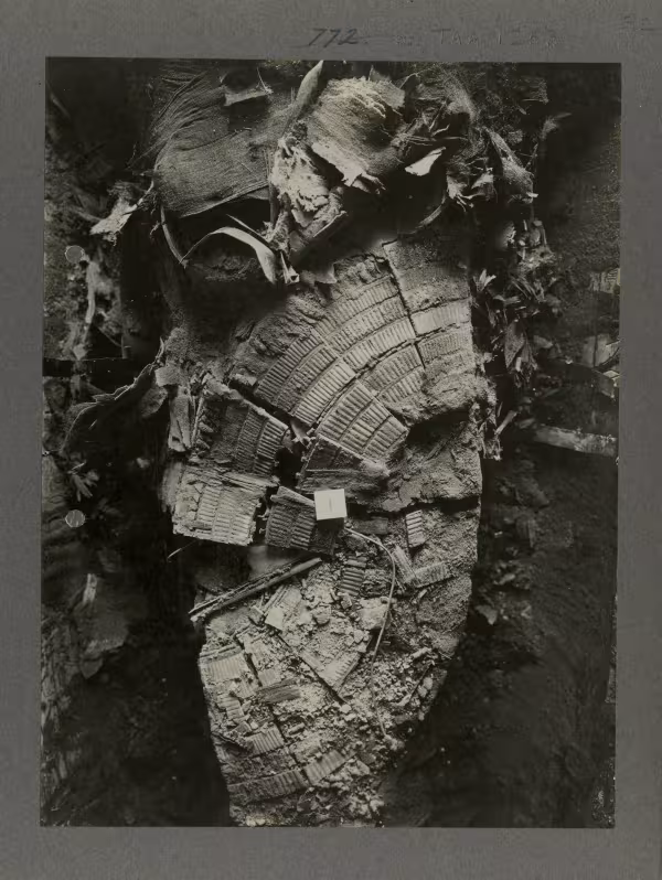 image of a close-up of the torso of the king's mummy from Burton's album