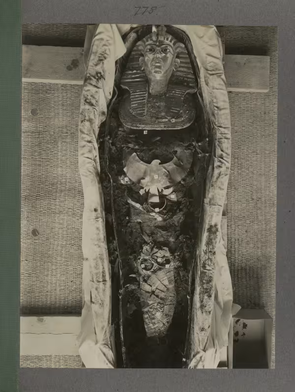 image of king's mummy within coffin from Burton's album