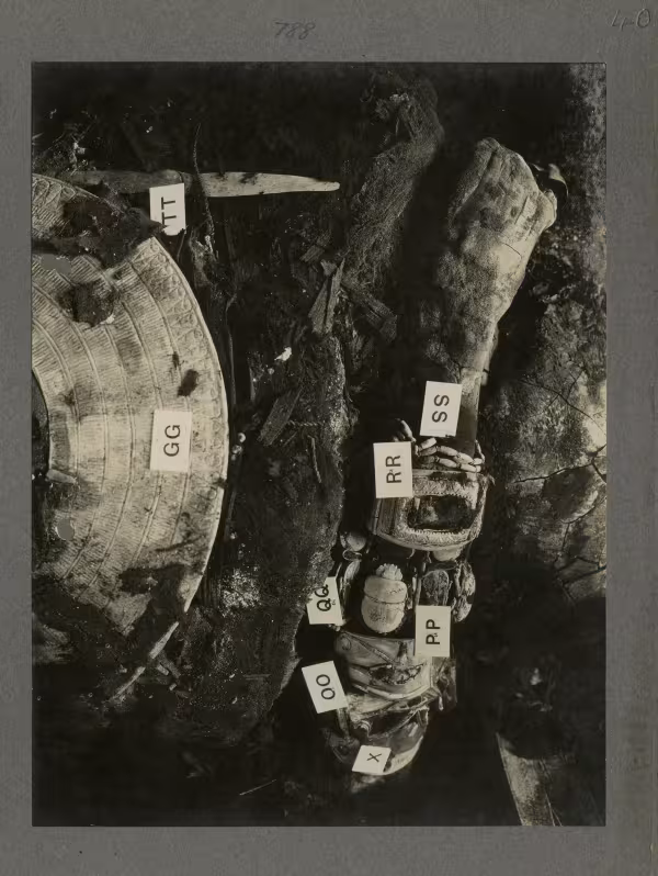 image of torso of king's mummy during unwrapping, focusing on arms, from Burton's album