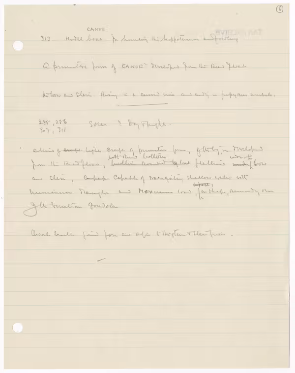 Handwritten notes on paper