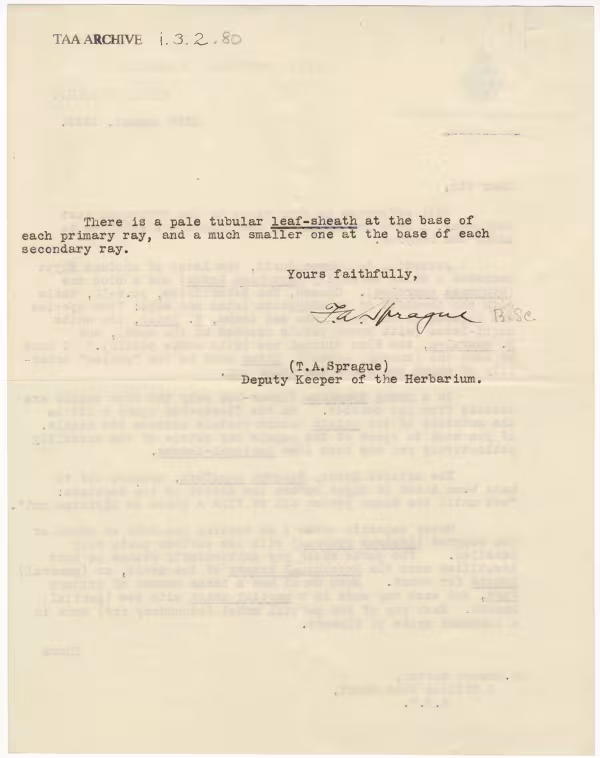 Typed notes on paper 