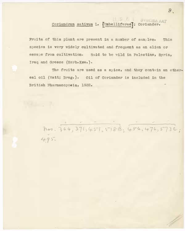 Typed notes on paper 