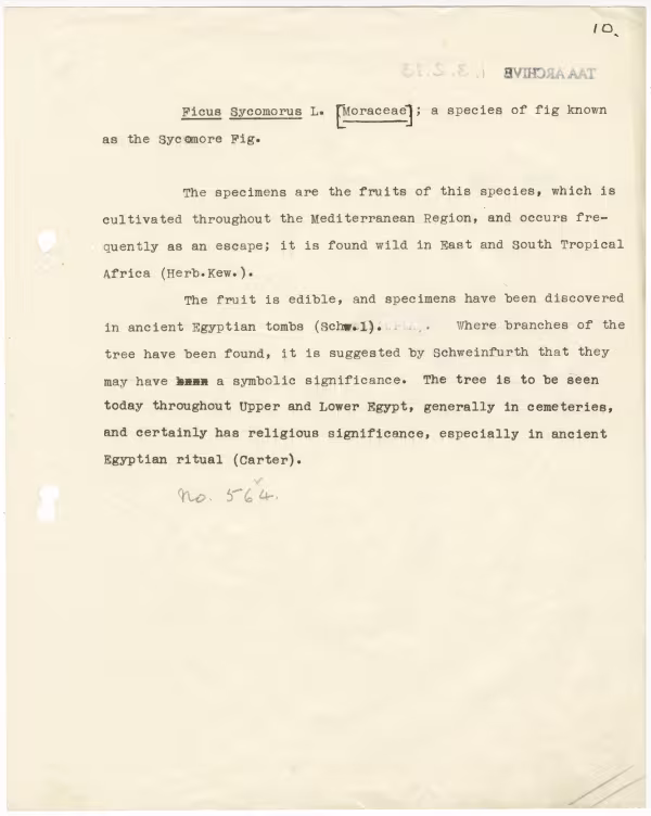 Typed notes on paper 