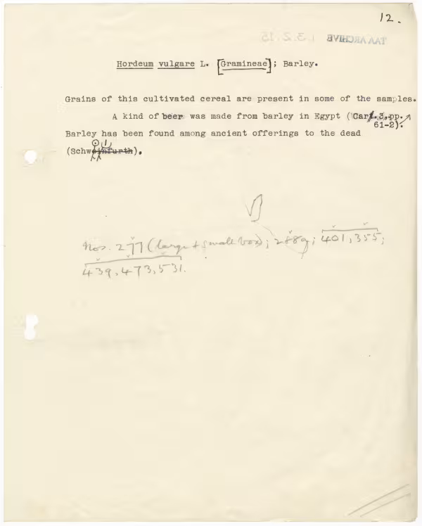 Typed notes on paper 