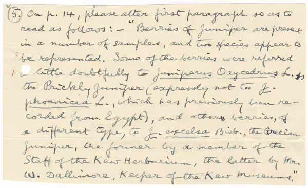 Handwritten notes on paper