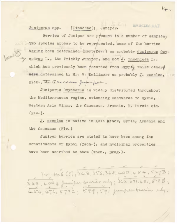 Typed notes on paper 