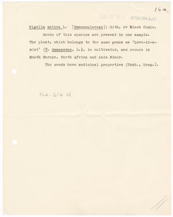 Typed notes on paper 