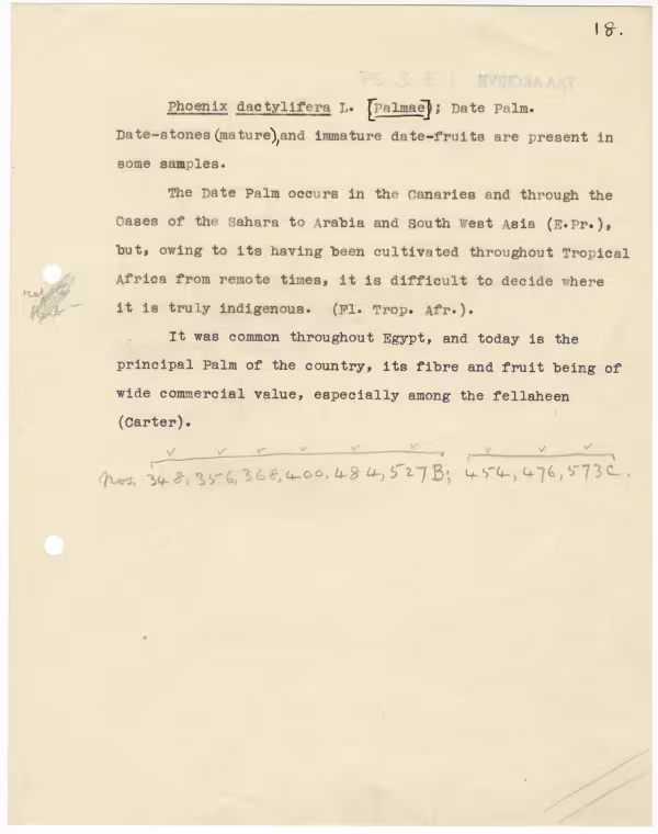 Typed notes on paper 