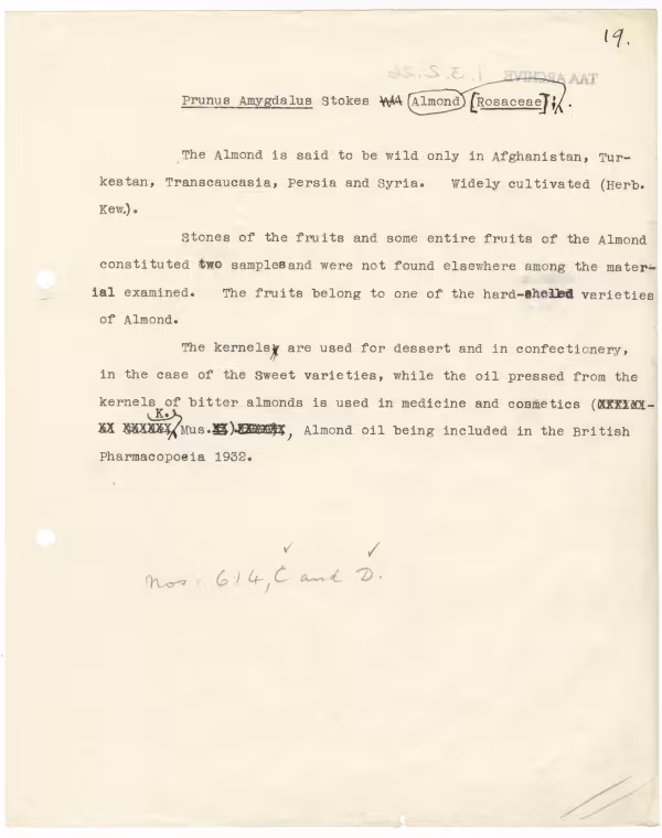 Typed notes on paper 