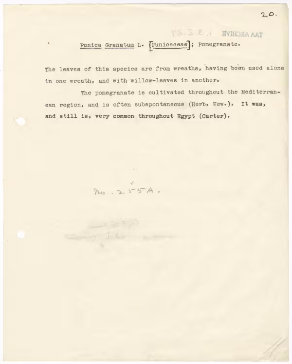 Typed notes on paper 