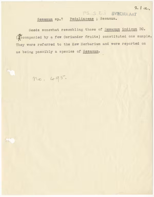 Typed notes on paper 