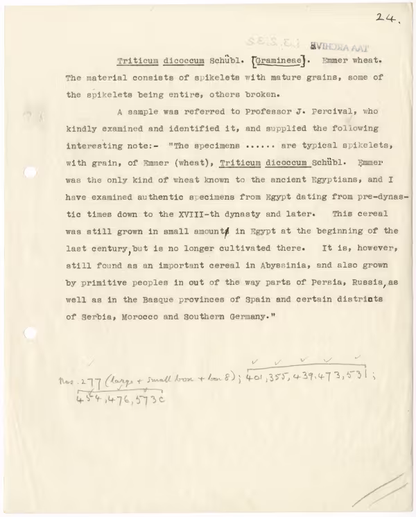 Typed notes on paper 