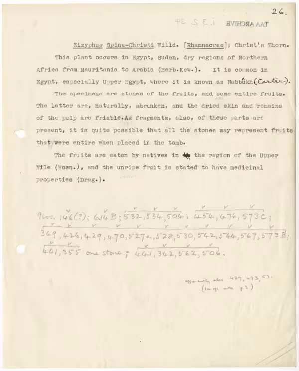 Typed notes on paper 