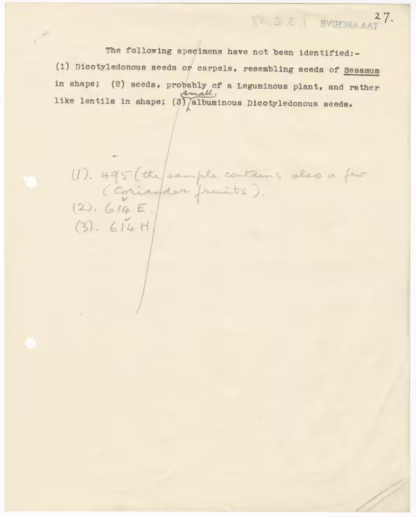 Typed notes on paper 