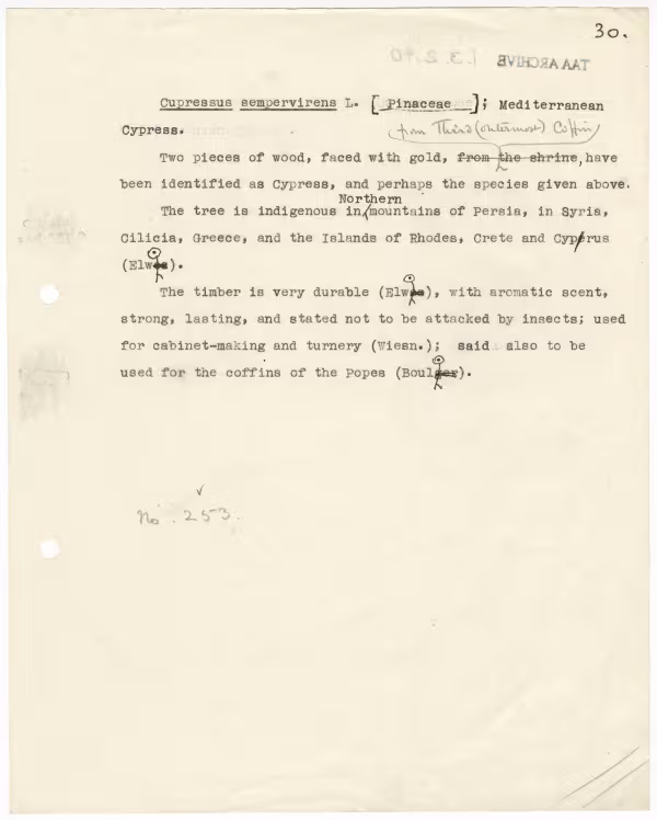Typed notes on paper 