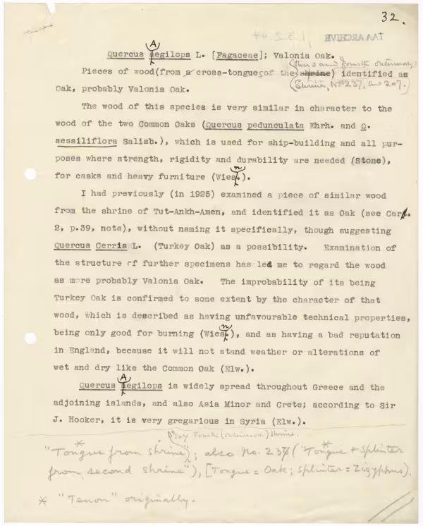 Typed notes on paper 