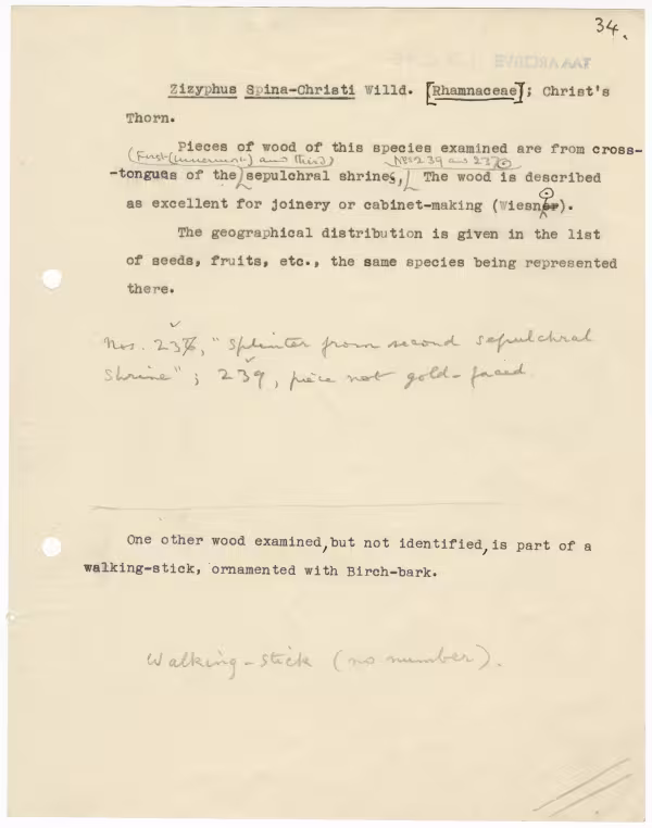 Typed notes on paper 