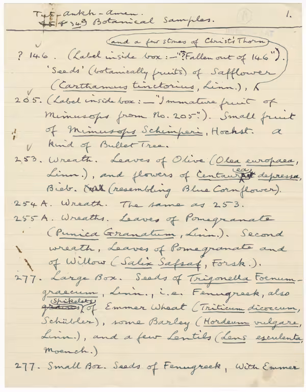 Handwritten notes on paper