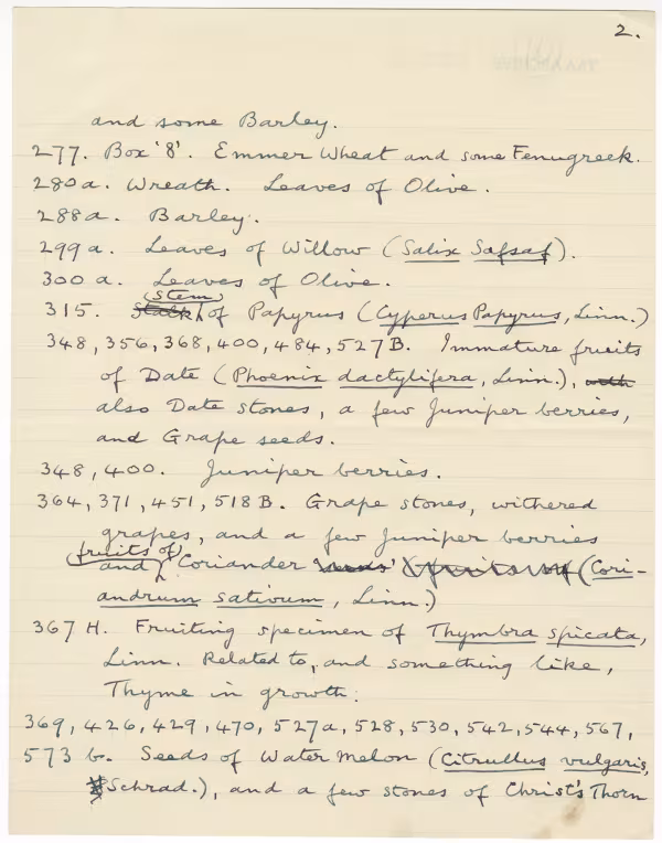 Handwritten notes on paper