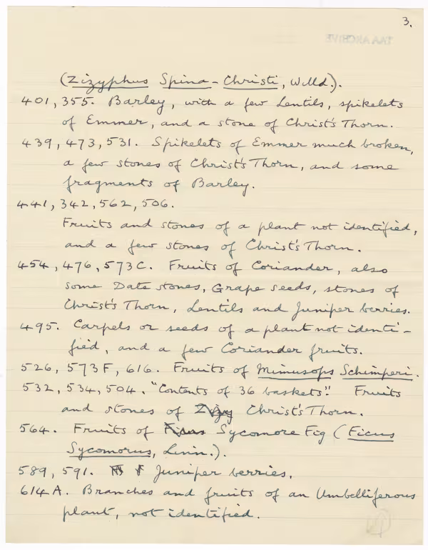 Handwritten notes on paper