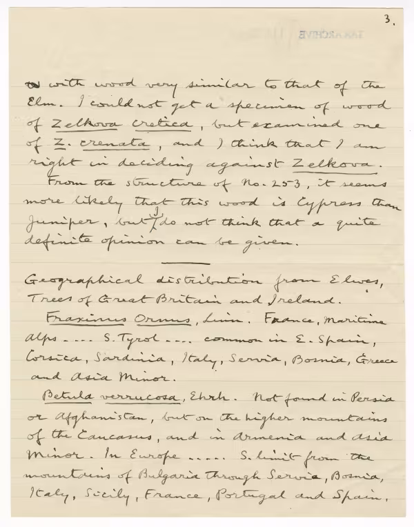 Handwritten notes on paper