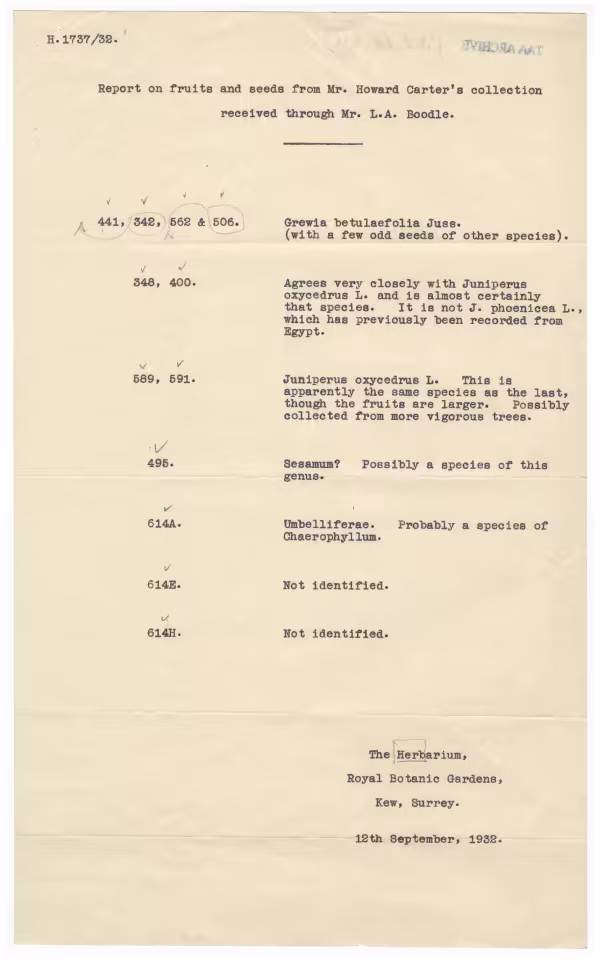 Typed notes on paper 
