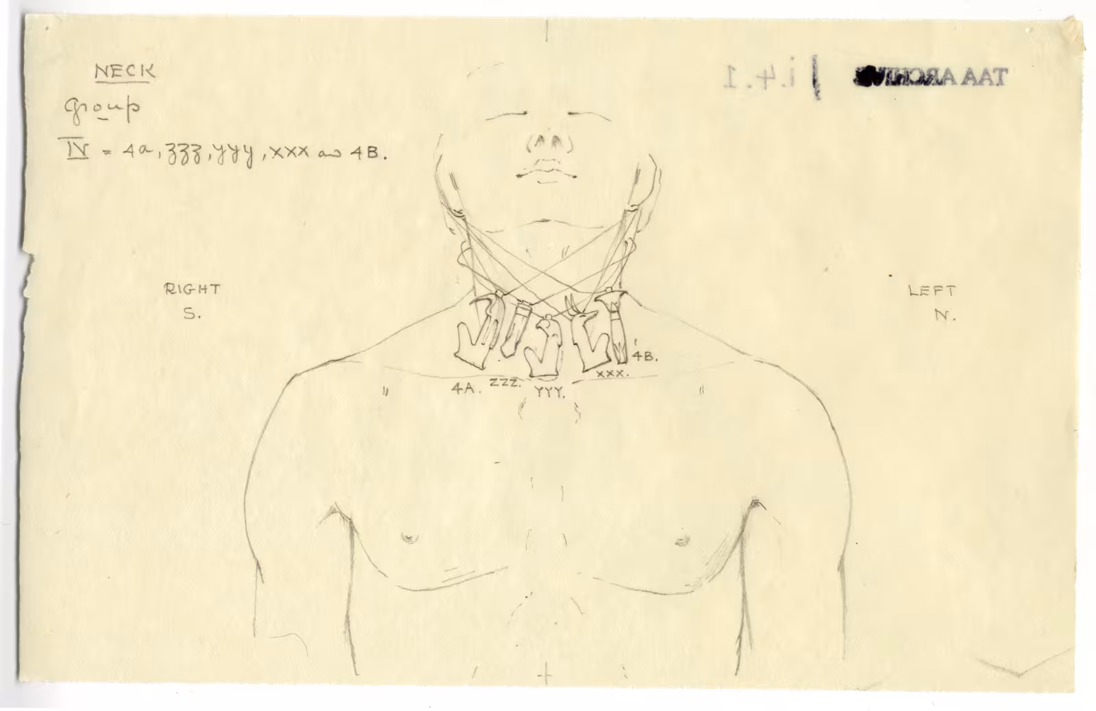 objects found on Tutankhamun's body: neck
