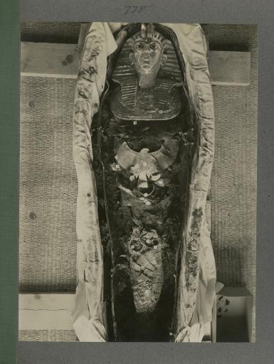 image of king's mummy within coffin from Burton's album