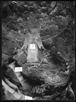 Image of close up of king's mummy showing objects found in wrappings negative