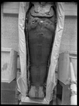 Image of king's mummy lying in coffin