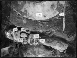 Image of negative of close-up of the chest of the king's mummy, showing various jewellery