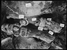 Image of negative of close-up of chest of king's mummy, showing assorted jewellery