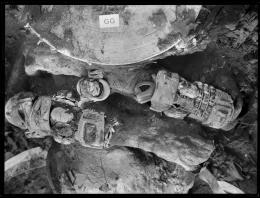 Image of negative of close-up of chest of king's mummy, showing assorted jewellery
