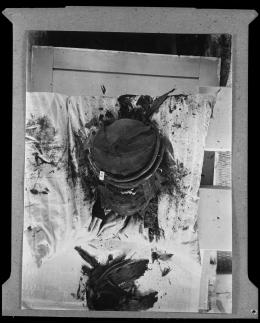 Image of negative of king's head disattached from mummy
