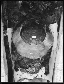 Image of negative of middle of king's mummy showing assorted objects