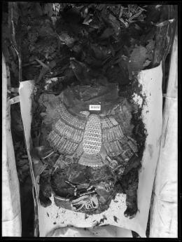 Image of negative of middle of king's mummy showing assorted objects