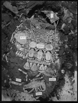 Image of negative of assorted jewellery on king's mummy