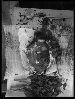 Image of negative of king's head disattached from mummy, wearing diadem