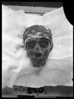 Image of negative of king's head disattached from mummy, wearing golden band around temple