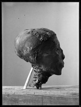 Image of negative of king's head disattached from mummy