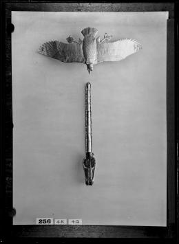 Image of negative of upside down vulture and a cobra