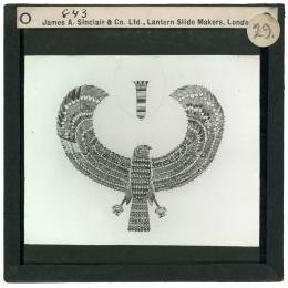 Image of lantern slide of falcon collar